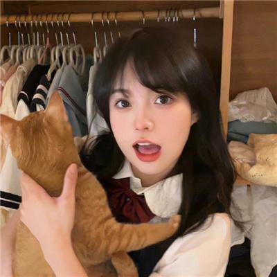 菊花香